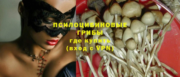 МДПВ Алзамай