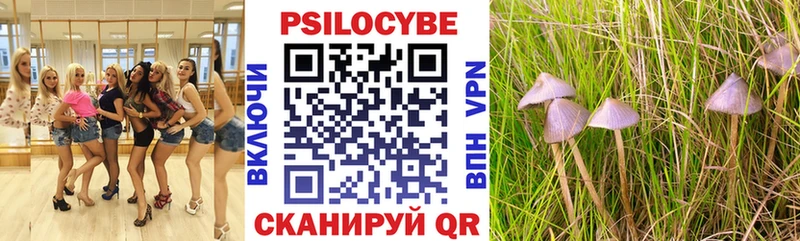 hydra как зайти  закладка  Заполярный  Галлюциногенные грибы Psilocybine cubensis 